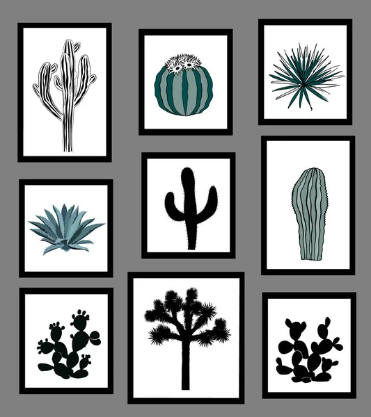 Wall pictures sat with black and white silhouettes of cactus, agave, and prickly pear. Vector illustration — Stock Vector