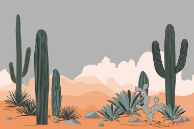 Meksika desenle opuntia, agav ve saguaro kaktüs. Dağlar arka plan.