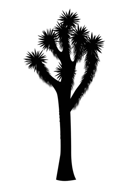 Joshua tree vector isolated on white background — Stock Vector