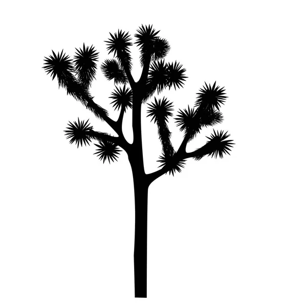 Διάνυσμα δέντρου Joshua απομονωμένο σε λευκό φόντο — Διανυσματικό Αρχείο