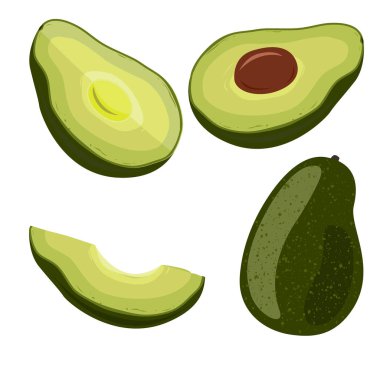Avokado beyaz arka planda ayarlandı. Vejetaryen yağları kaynağı, ambalaj ve yemek pişirmek için tasarım elementleri. Vektör illüstrasyonu