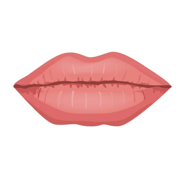 Ilustración vectorial de hermosos labios de mujer con maquillaje natural sobre fondo blanco — Vector de stock