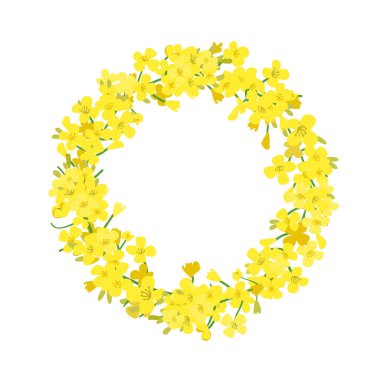 Kanola çelengi, kolza tohumu çelengi çiçek kartı. Vektör şablonu. Çiçekli Colza Chaplet. Brassica napus kaplaması. Açan sarı tecavüz..