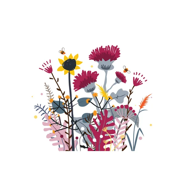 Selvagem e mel prado flores cacho. Fundo de natureza vetorial com mão desenhada ervas selvagens, flores e folhas em branco . —  Vetores de Stock