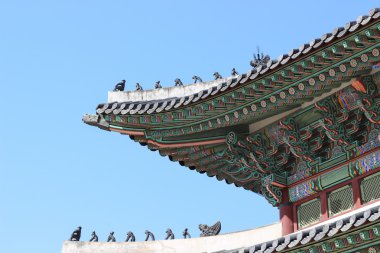 Güney Kore, Seul 'deki Gyeongbokgung Sarayı' nın çatısında..