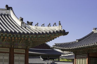 Güney Kore, Seul 'deki Gyeongbokgung Sarayı' nın çatısında..