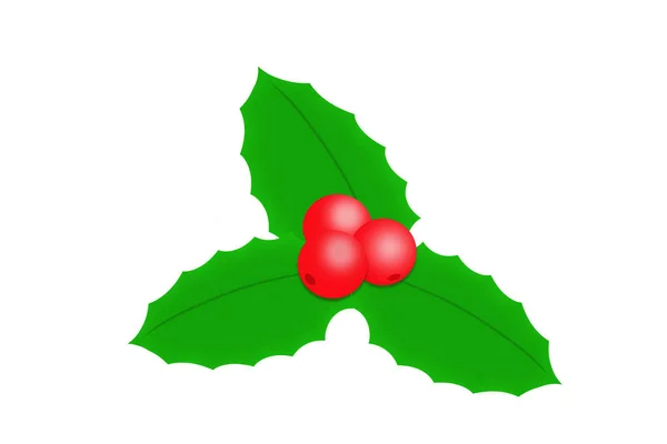 Holly berry liść na białym tle ozdoba Bożego Narodzenia — Zdjęcie stockowe