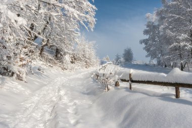 Soğuk kış günü, çok güneşli.