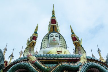 Heykel Buddha ve Naga