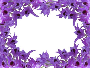 Menekşe çerçeve beyaz arka plan