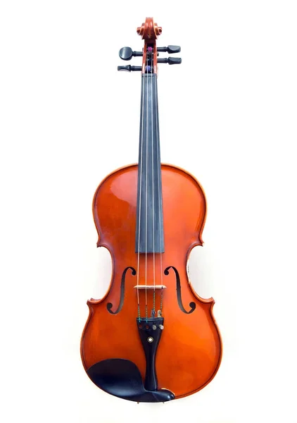 Violin på vit bakgrund — Stockfoto