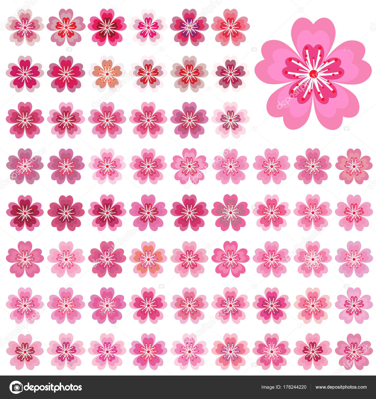 La Valeur Des Fleurs Isolées De Sakura Fleurs Roses Et
