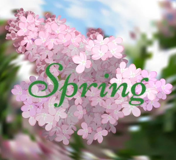 Spring flowers. Spring, the sky, flowers of lilac, a lot of gree