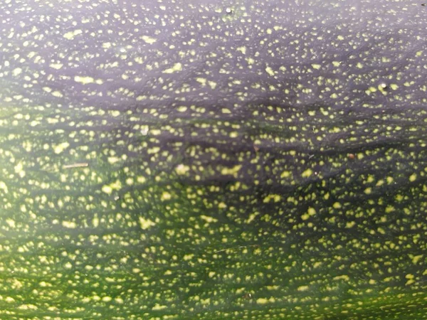 Antiguo Fondo Pared Concreto Color Amarillo Foto De Stock