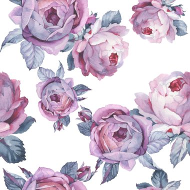 Kır çiçeği gül çiçek deseni izole bir suluboya tarzında.