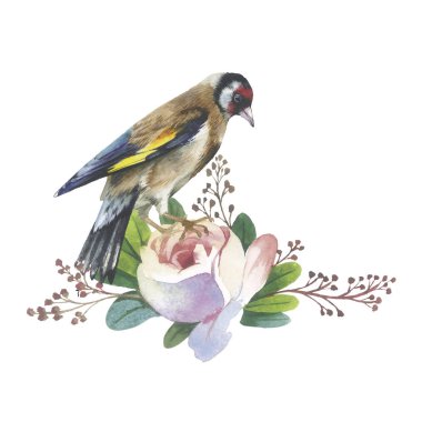 Kır çiçeği çiçek ve kuş izole bir suluboya tarzında yükseldi.