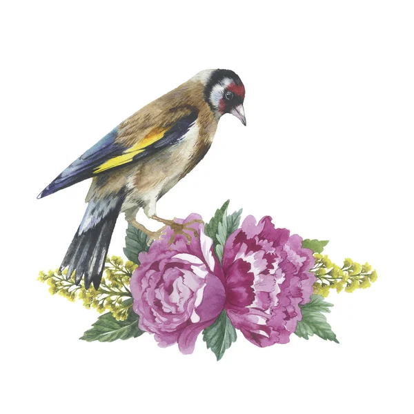 Дика квітка троянди і птах в акварельному стилі ізольовані . — стокове фото