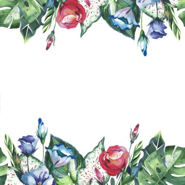 Tropikal Hawaii palmiye ağacı çerçeve izole bir suluboya tarzında bırakır..