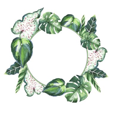 Tropikal Hawaii palmiye ağacı çerçeve izole bir suluboya tarzında bırakır..