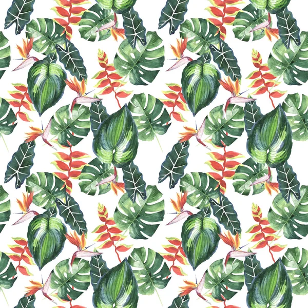 Tropical Hawaii leaves palm tree pattern in a watercolor style isolated. — Stock Photo, Image