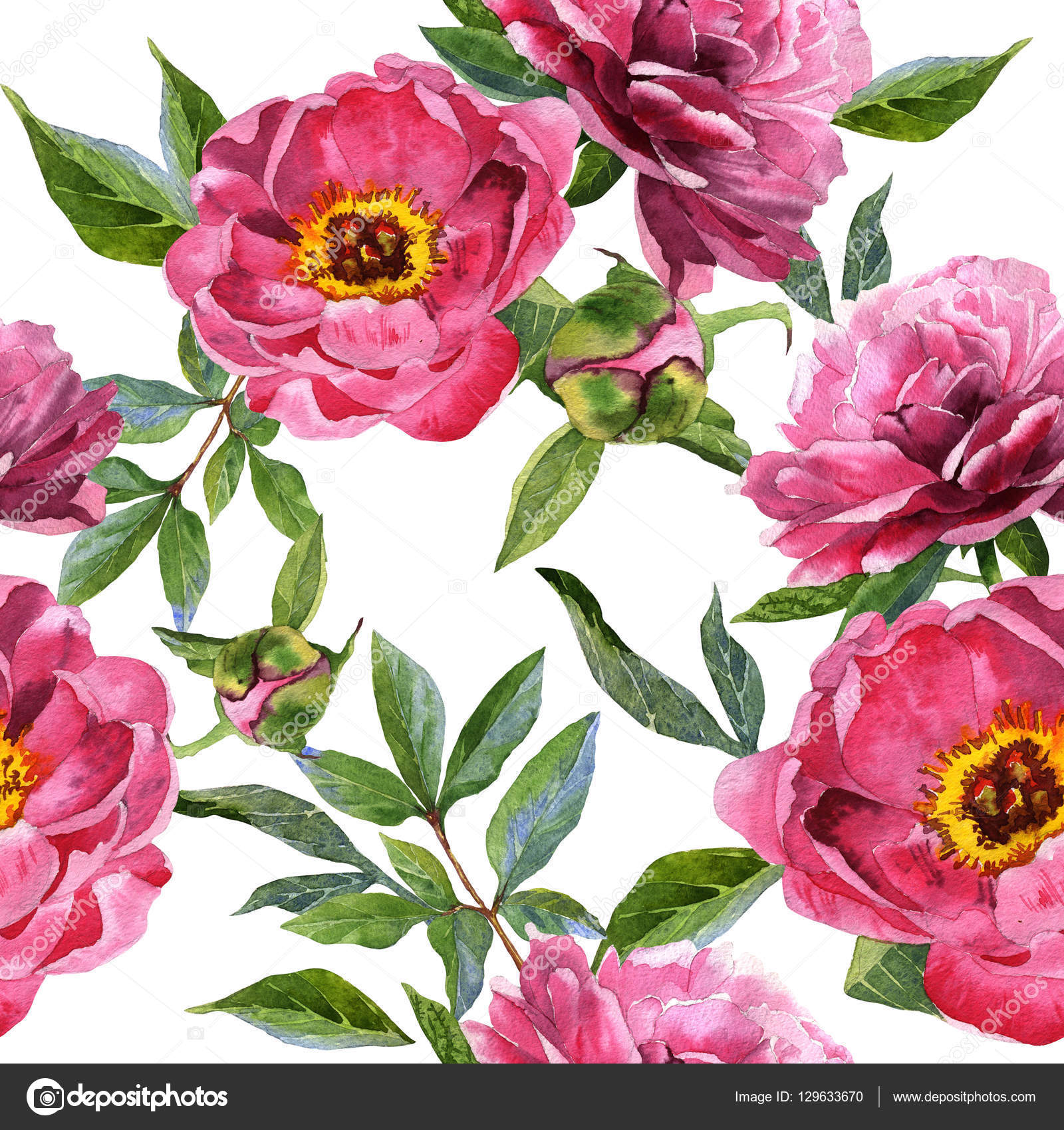Wildflower peony flower pattern in a watercolor style isolated. Stock Photo  by ©MyStocks 129633670