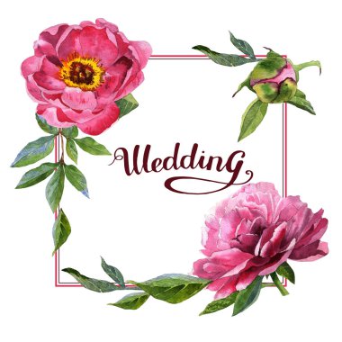 Kır çiçeği Şakayık çiçeği çerçeve izole bir suluboya tarzında.