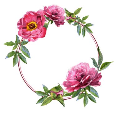 Kır çiçeği Şakayık çiçeği çerçeve izole bir suluboya tarzında.