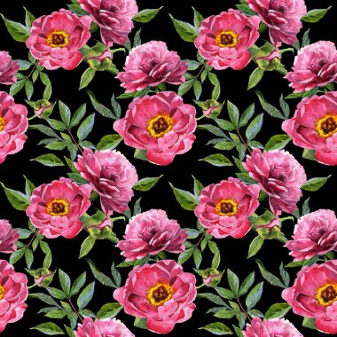 Kır çiçeği peony çiçek deseni izole bir suluboya tarzında.