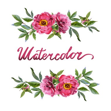 Kır çiçeği Şakayık çiçeği çerçeve izole bir suluboya tarzında.