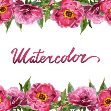 Kır çiçeği Şakayık çiçeği çerçeve izole bir suluboya tarzında.