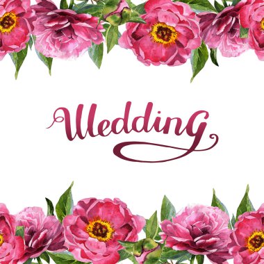 Kır çiçeği Şakayık çiçeği çerçeve izole bir suluboya tarzında.