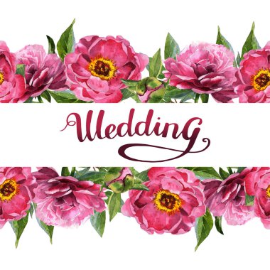 Kır çiçeği Şakayık çiçeği çerçeve izole bir suluboya tarzında.