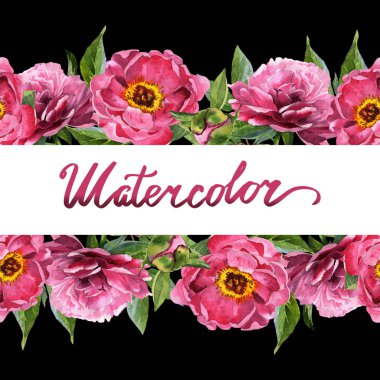 Kır çiçeği Şakayık çiçeği çerçeve izole bir suluboya tarzında.