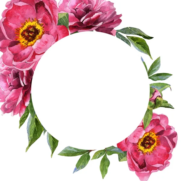 Wildflower peony flower frame in a watercolor style isolated. — Stock Photo, Image