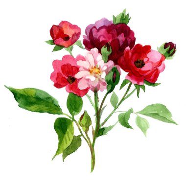 Suluboya Peonies çiçek buketi