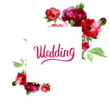 Kır çiçeği gül çiçek izole bir suluboya tarzında.