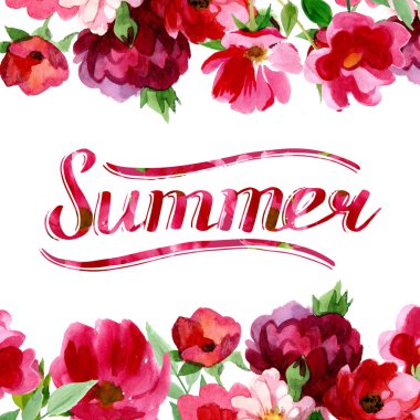 Kır çiçeği gül çiçek izole bir suluboya tarzında.