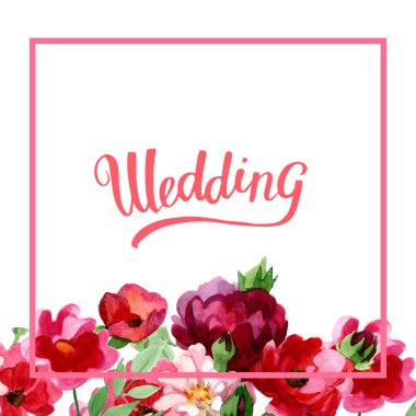 Kır çiçeği gül çiçek izole bir suluboya tarzında.