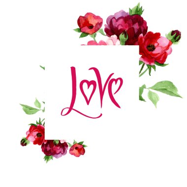 Kır çiçeği gül çiçek izole bir suluboya tarzında.