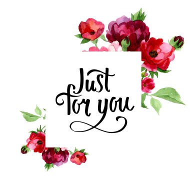 Kır çiçeği gül çiçek izole bir suluboya tarzında.