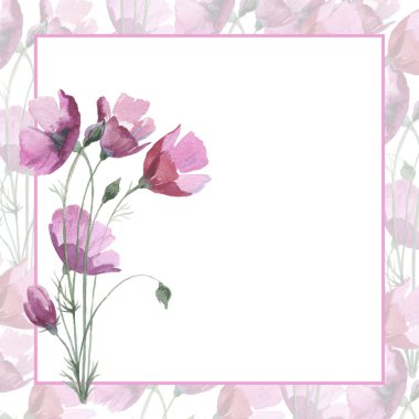 Kır çiçeği haşhaş çiçek çerçeve suluboya tarzında.