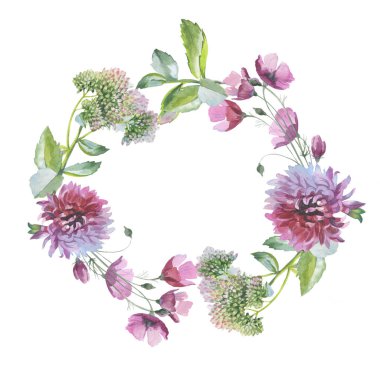 Kır çiçeği krizantem çiçek çelenk izole bir suluboya tarzında.