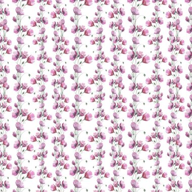 Kır çiçeği haşhaş çiçek deseni izole bir suluboya tarzında.