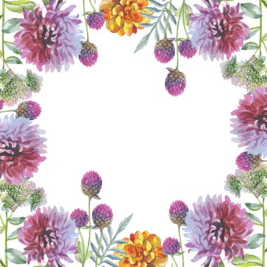 Kır çiçeği Kasımpatı çiçeği çerçeve izole bir suluboya tarzında.