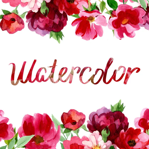 Kır çiçeği gül çiçek izole bir suluboya tarzında.