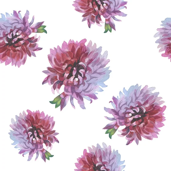 Fiore di campo modello crisantemo fiore in stile acquerello . — Foto Stock
