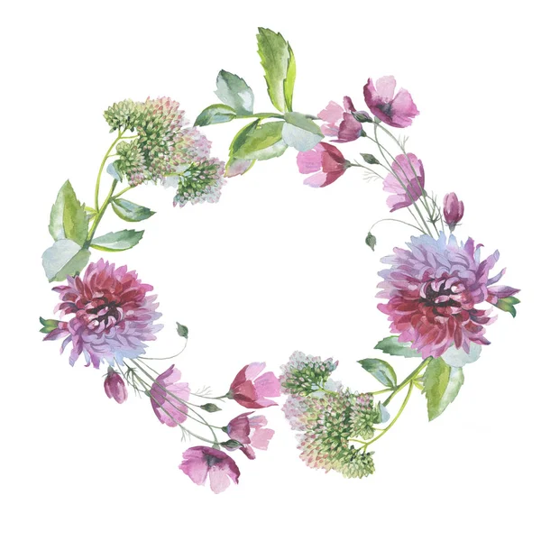 Kır çiçeği krizantem çiçek çelenk izole bir suluboya tarzında.