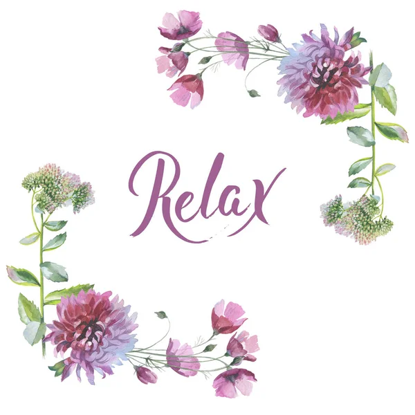 Kır çiçeği Kasımpatı çiçeği çerçeve suluboya tarzında.