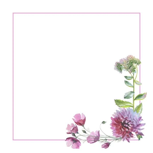 分離された水彩画のワイルドフラワー菊の花フレーム. — ストック写真