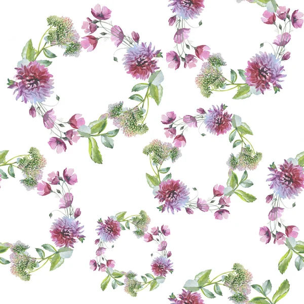 Дика квітка хризантеми квітковий візерунок в акварельному стилі ізольовані . — стокове фото